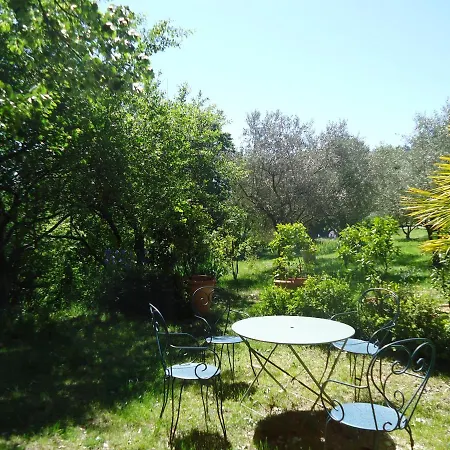 Le Vieux Tilleul Banne